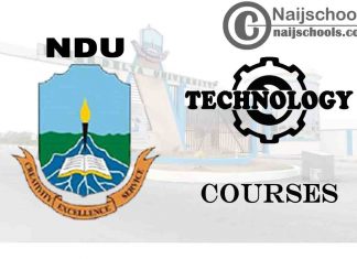 NDU Courses for Technology & Engineering Students