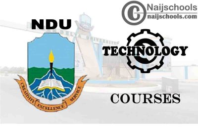 NDU Courses for Technology & Engineering Students