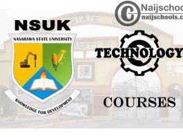 NSUK Courses for Technology & Engineering Students