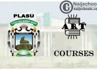 PLASU Courses for Art Students to Study; Full List