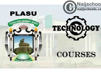 PLASU Courses for Technology & Engineering Students