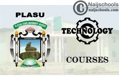 PLASU Courses for Technology & Engineering Students