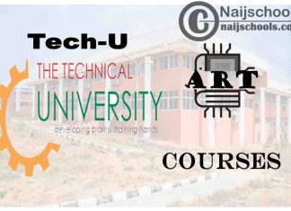 TECH-U Ibadan Courses for Art Students to Study