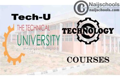 TECH-U Ibadan Courses for Technology Students