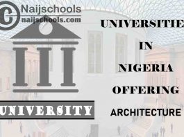 Universities in Nigeria Offering Architecture