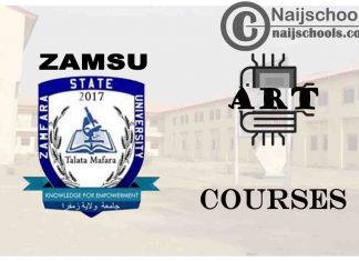 ZAMSU Courses for Art Students to Study; Full List