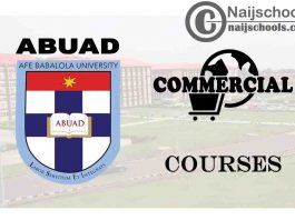 ABUAD Courses for Commercial Students to Study