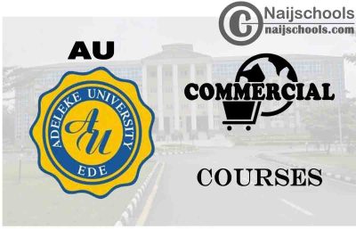 Adeleke University Courses for Commercial Students