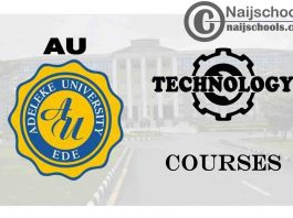 Adeleke University Courses for Technology Students