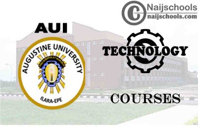 Augustine University Courses for Technology Students