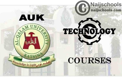 AUK University Courses for Technology Students 
