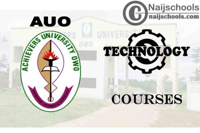 Achievers University Courses for Technology Students