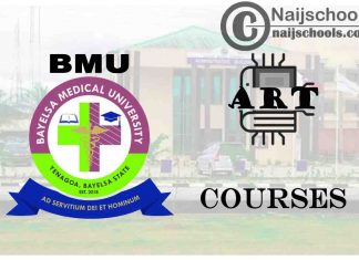 BMU Courses for Art Students to Study; Full List