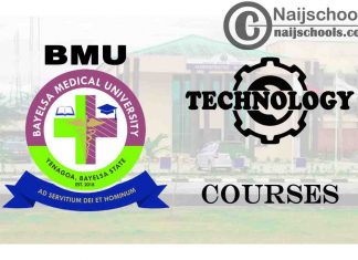BMU Courses for Technology and Engineering Students