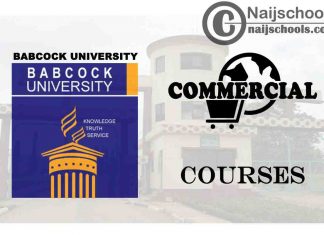 Babcock University Courses for Commercial Students