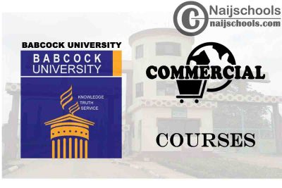 Babcock University Courses for Commercial Students