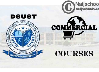 DSUST Courses for Commercial Students to Study