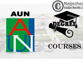 Degree Courses Offered in AUN for Students to Study