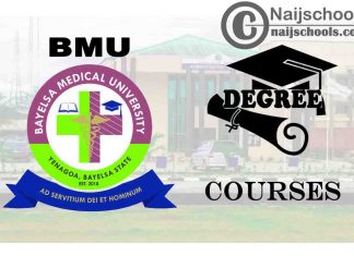 Degree Courses Offered in BMU for Students to Study