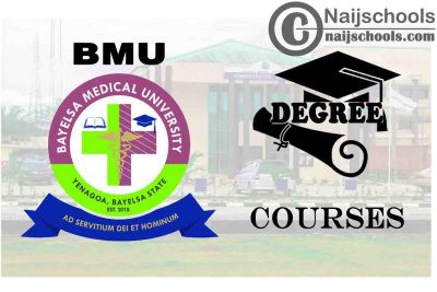 Degree Courses Offered in BMU for Students to Study