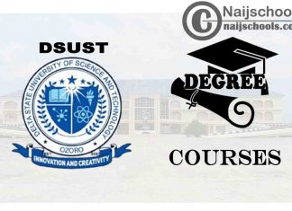 Degree Courses Offered in DSUST for Students to Study