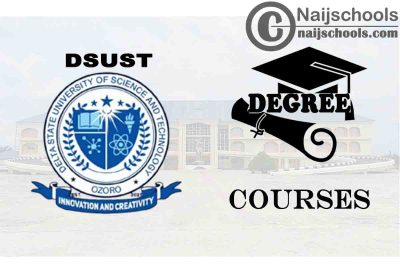 Degree Courses Offered in DSUST for Students to Study