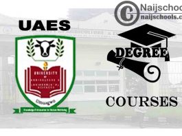 Degree Courses Offered in UAES for Students to Study