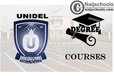 Degree Courses Offered in UNIDEL for Students