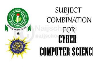 Subject Combination for Cyber Computer Science