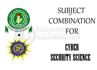 Subject Combination for Cyber Security Science
