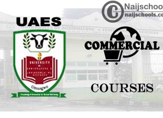 UAES Courses for Commercial Students to Study