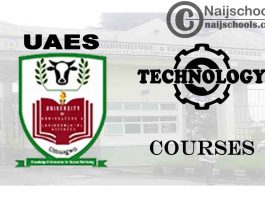 UAES Courses for Technology & Engineering Students