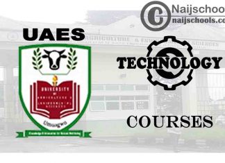 UAES Courses for Technology & Engineering Students
