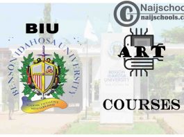 BIU Courses for Art Students to Study; Full List