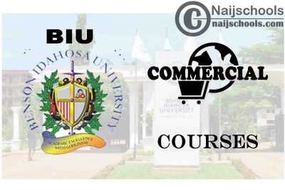 BIU Courses for Commercial Students to Study; Full List