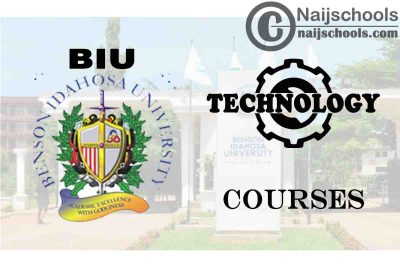 BIU Courses for Technology & Engineering Students
