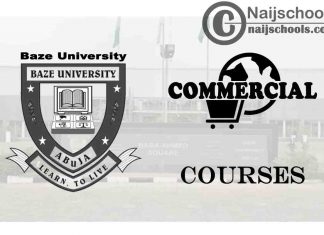 Baze University Courses for Commercial Students