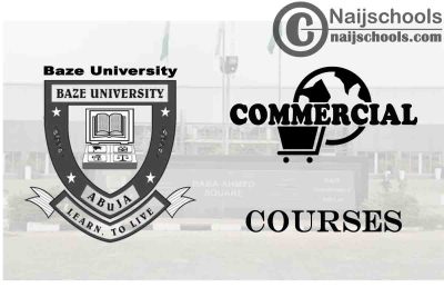 Baze University Courses for Commercial Students