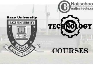 Baze University Courses for Technology Students