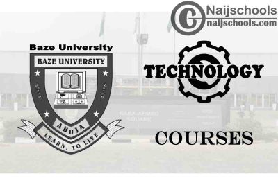 Baze University Courses for Technology Students