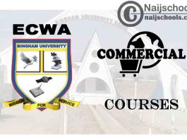 Bingham University Courses for Commercial Students