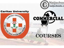 Caritas University Courses for Commercial Students