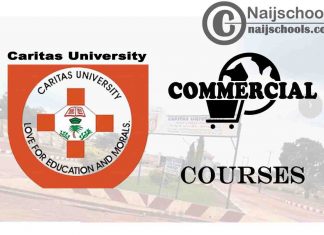 Caritas University Courses for Commercial Students