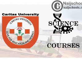 Caritas University Courses for Science Students to Study