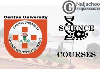 Caritas University Courses for Science Students to Study