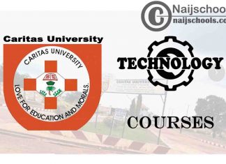 Caritas University Courses for Technology Students