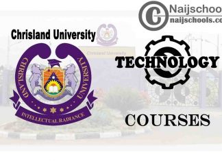 Chrisland University Courses for Technology Students