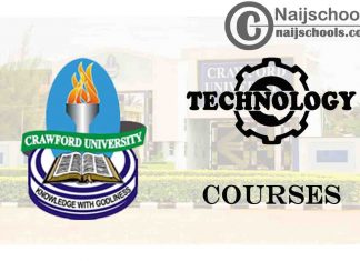 Crawford University Courses for Technology Students