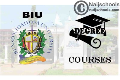 Degree Courses Offered in BIU for Students to Study