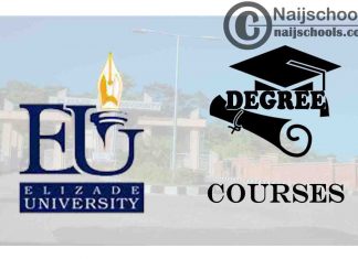 Degree Courses Offered in Elizade University